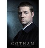 Gotham Poster