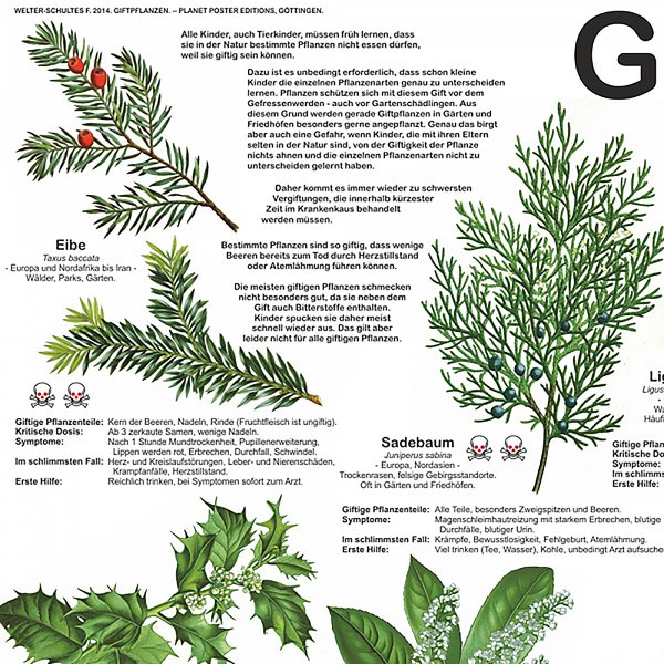 Giftpflanzen Poster