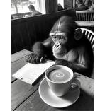 Hipster Chimp Kunstdruck
