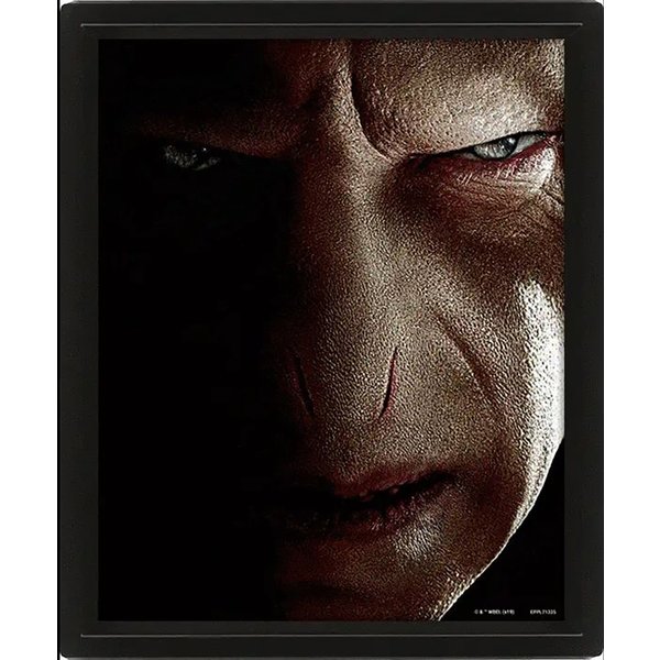 Harry Potter 3D Poster