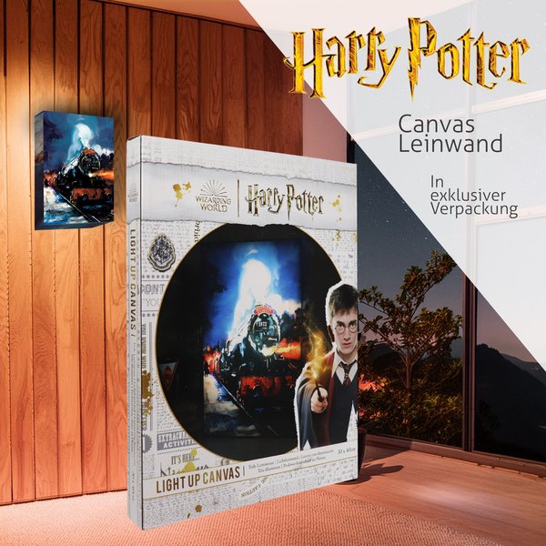 Harry Potter Light Up Canvas