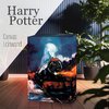 Harry Potter Light Up Canvas