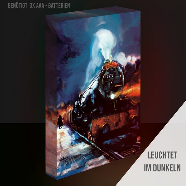 Harry Potter Light Up Canvas