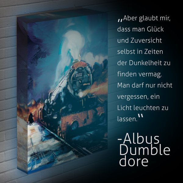 Harry Potter Light Up Canvas