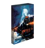 Harry Potter Light Up Canvas