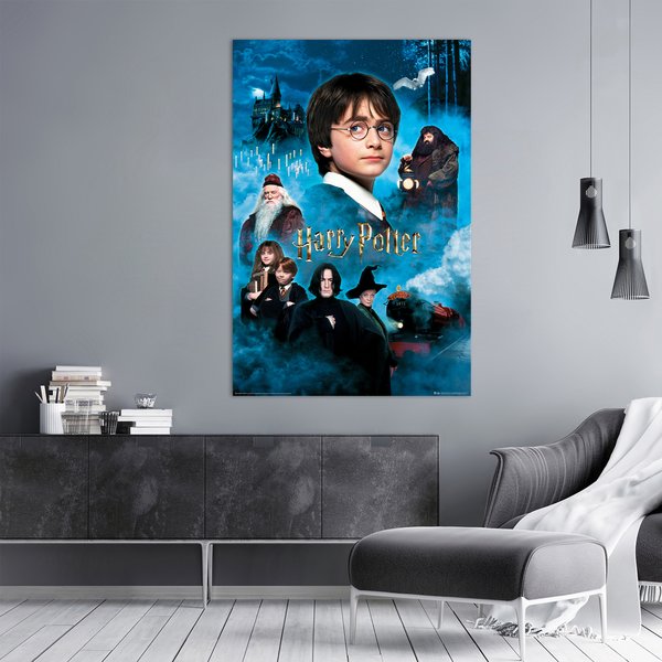 Harry Potter und der Stein der
