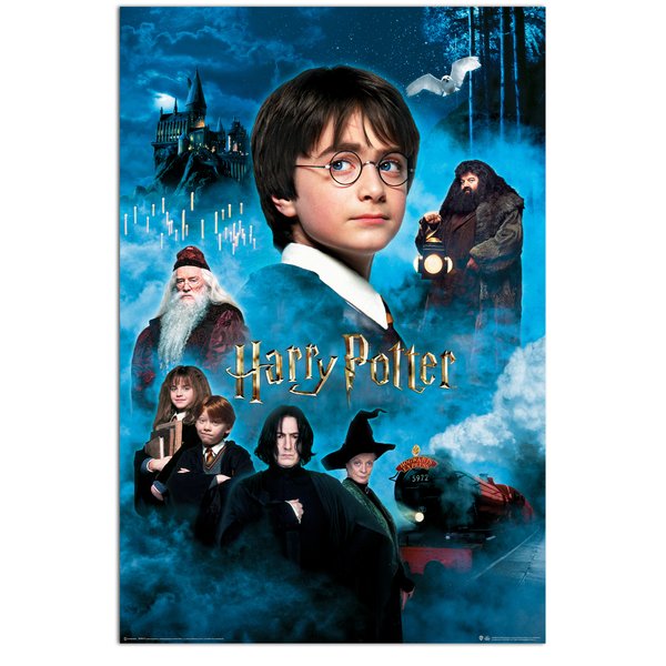 Harry Potter und der Stein der