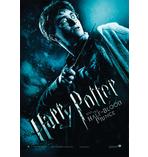 Harry Potter und der