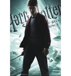 Harry Potter und der