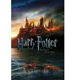 Harry Potter und die