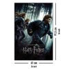 Harry Potter und die