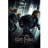 Harry Potter und die