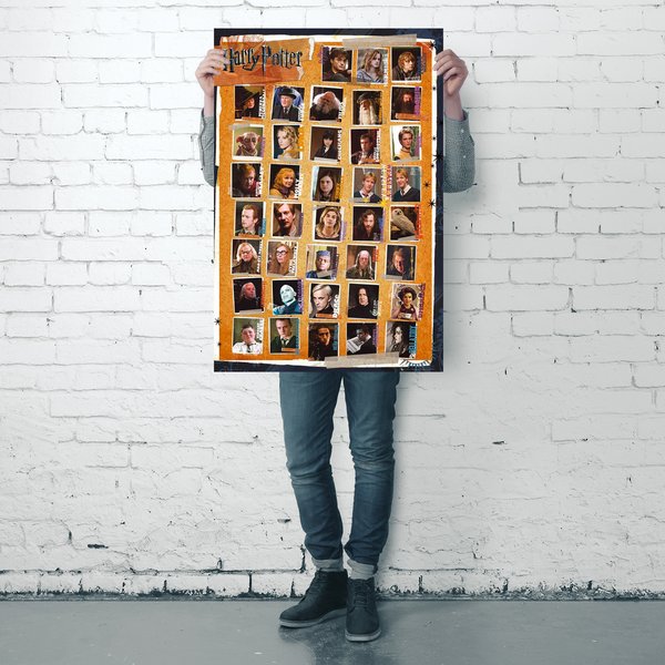 Harry Potter und die