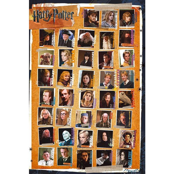 Harry Potter und die