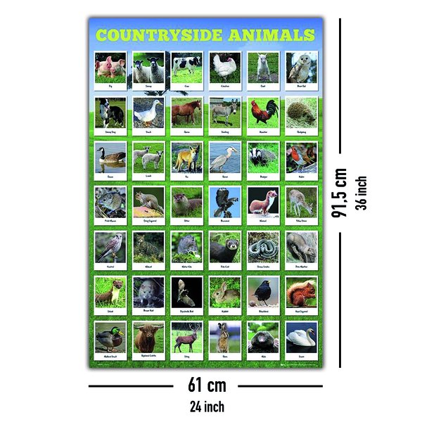 Heimische Tierarten Poster