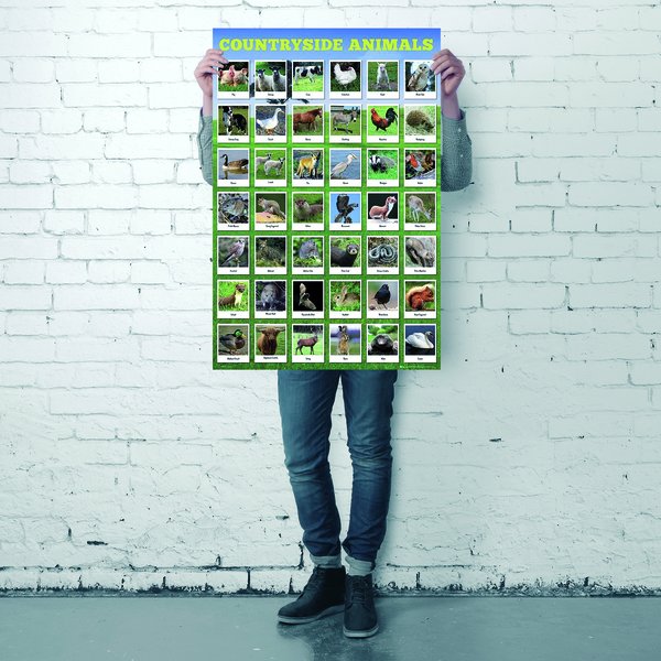 Heimische Tierarten Poster