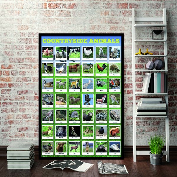 Heimische Tierarten Poster