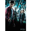 Harry Potter und der Halbblut