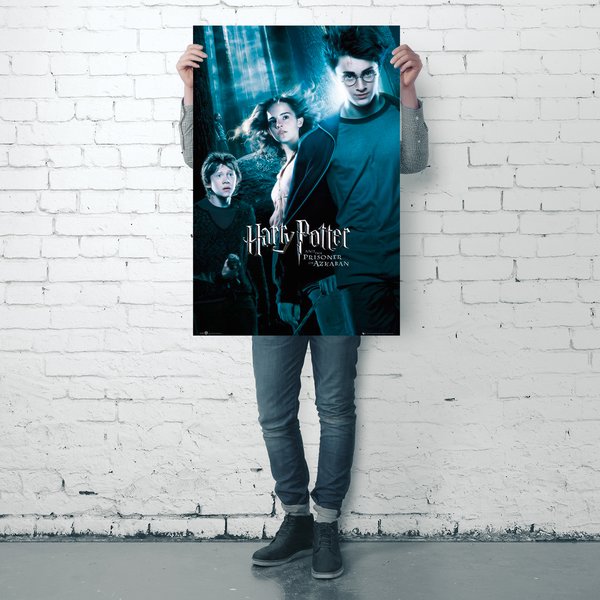 Harry Potter und der Gefangene