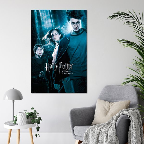 Harry Potter und der Gefangene