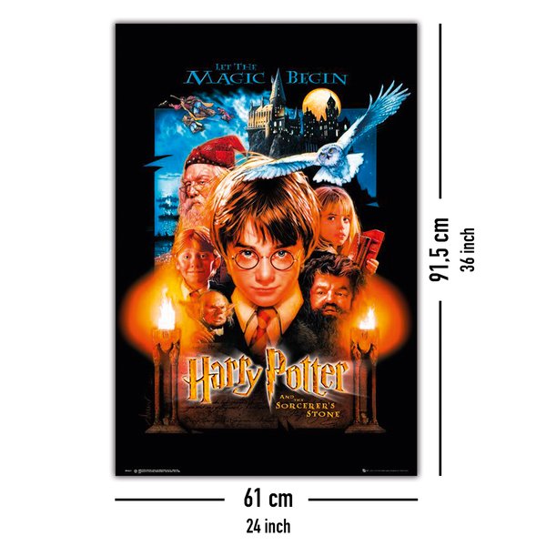 Harry Potter und der Stein der