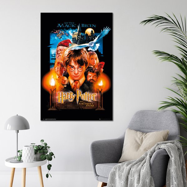 Harry Potter und der Stein der