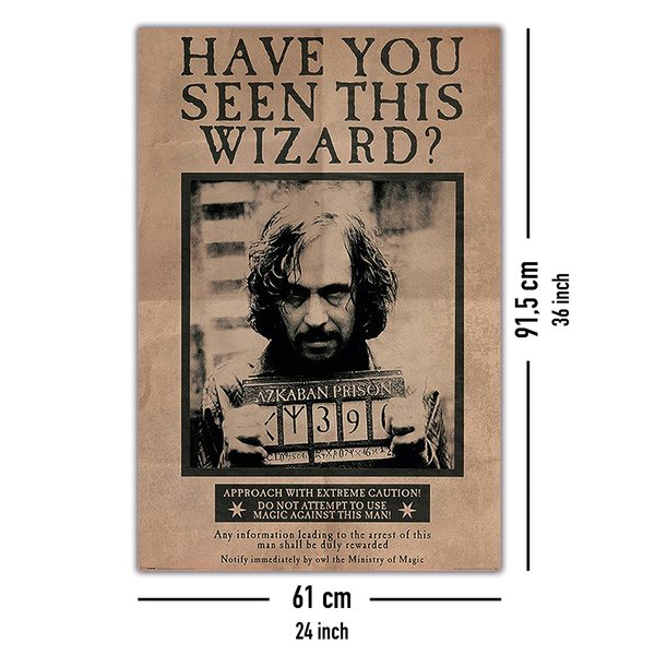 Harry Potter and the Prisoner