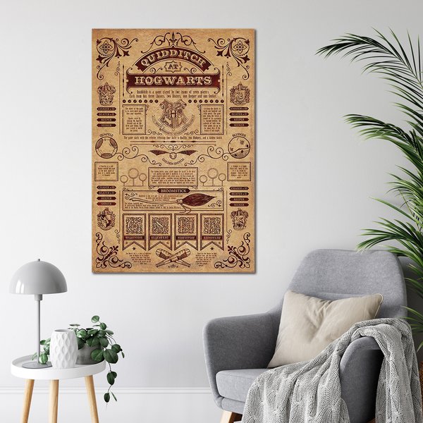 Harry Potter Poster Quidditch