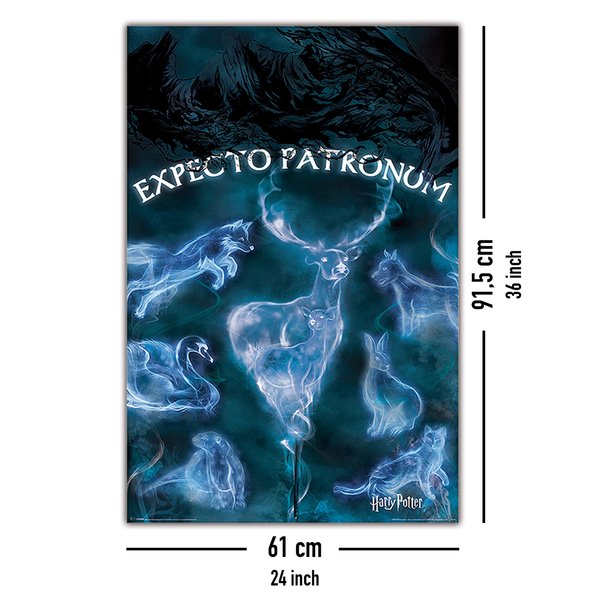 Harry Potter Poster Expecto