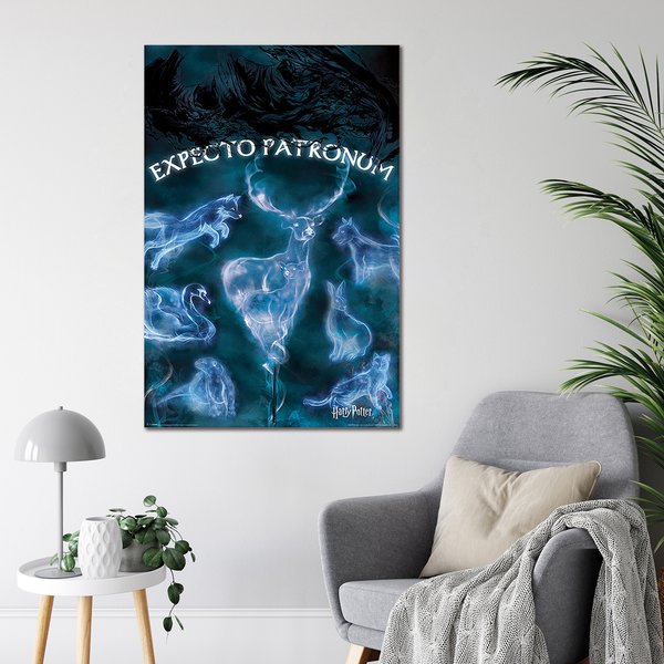 Harry Potter Poster Expecto