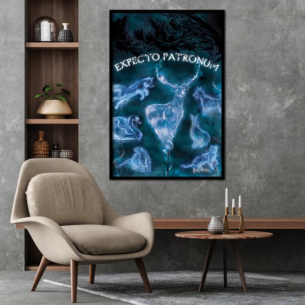 Harry Potter Poster Expecto