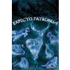 Harry Potter Poster Expecto