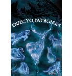 Harry Potter Poster Expecto