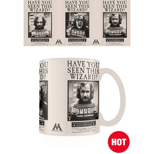 Harry Potter Thermoeffekt-