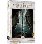Harry Potter Puzzle Harry vs