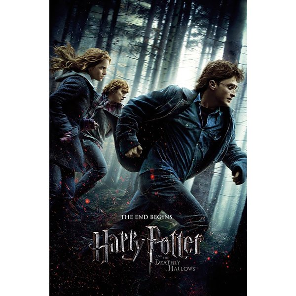 Harry Potter Poster 8er-Set
