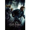Harry Potter Poster 8er-Set