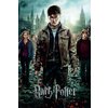 Harry Potter Poster 8er-Set