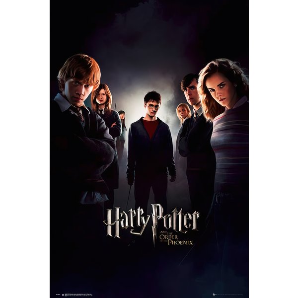 Harry Potter Poster 8er-Set