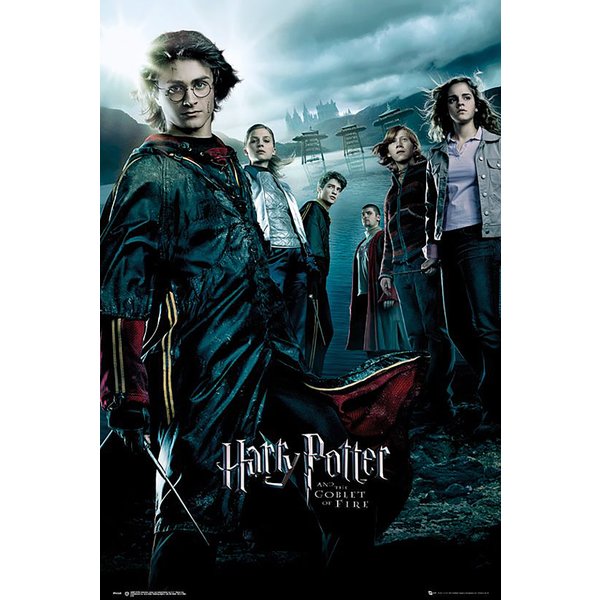 Harry Potter Poster 8er-Set