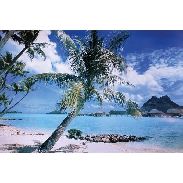 Insel Bora Bora Poster Strand