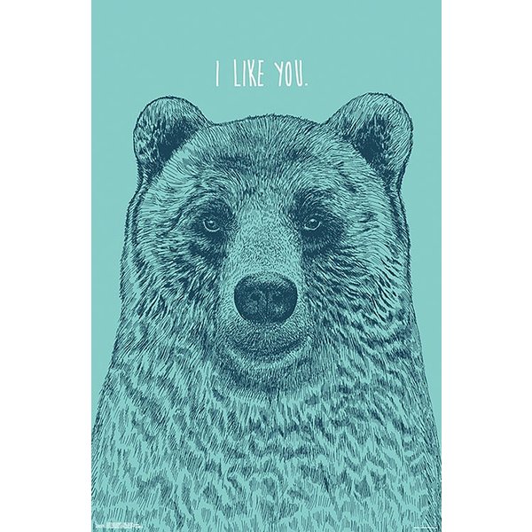I Like You Bear Poster