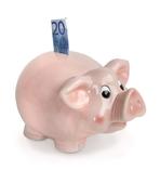 Jumbo Sparschwein XXL