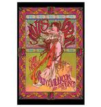 Janis Joplin Poster