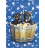 Keith Kimberlin 2 Hunde in