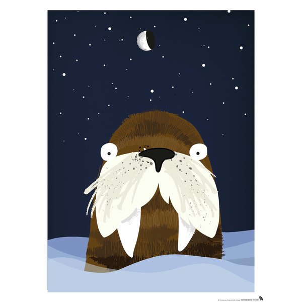 Kinderzimmer Poster Polar