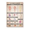 Le Corps humain Poster