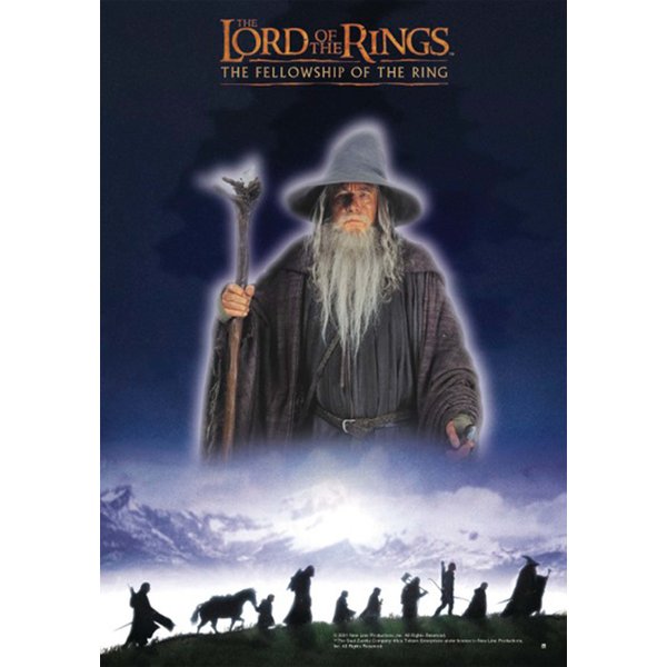Herr der Ringe Poster
