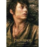 Herr der Ringe Poster
