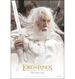 Herr der Ringe Poster